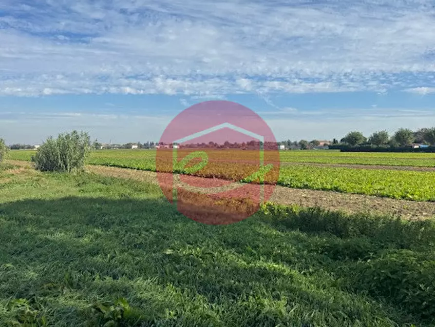 Immagine 6 di Terreno in vendita  a Gatteo