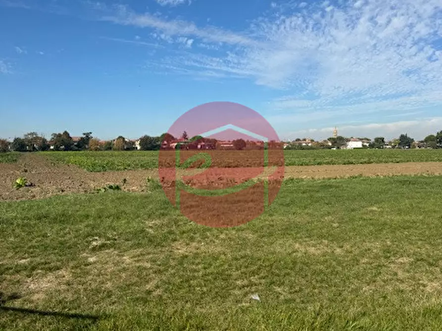 Immagine 7 di Terreno in vendita  a Gatteo