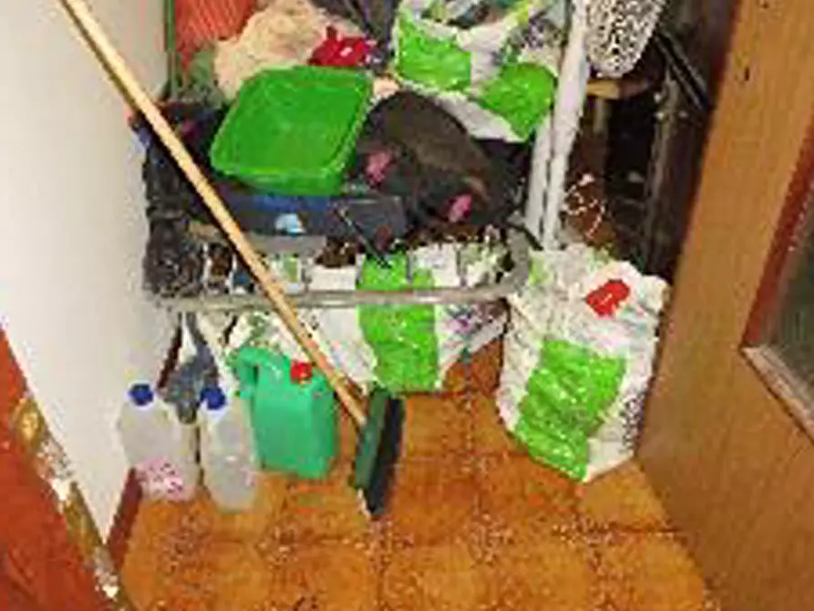 Immagine 10 di Appartamento in vendita  in Via Cà de Micheli 18 a Sanguinetto