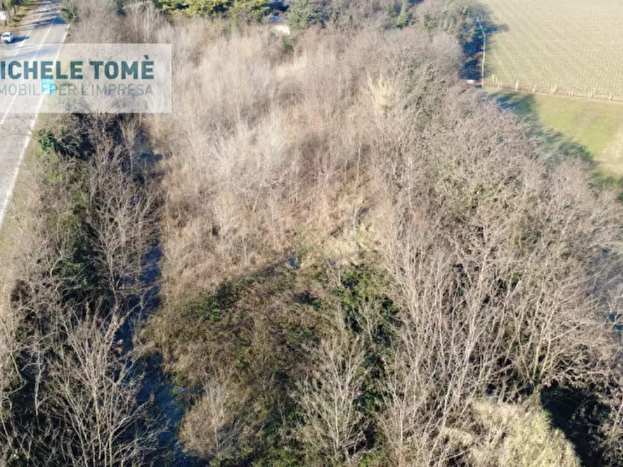 Immagine 7 di Terreno in vendita  in Via Verona a Bussolengo