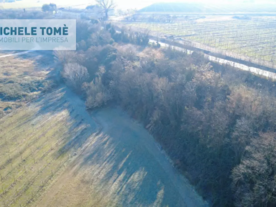 Immagine 9 di Terreno in vendita  in Via Verona a Bussolengo