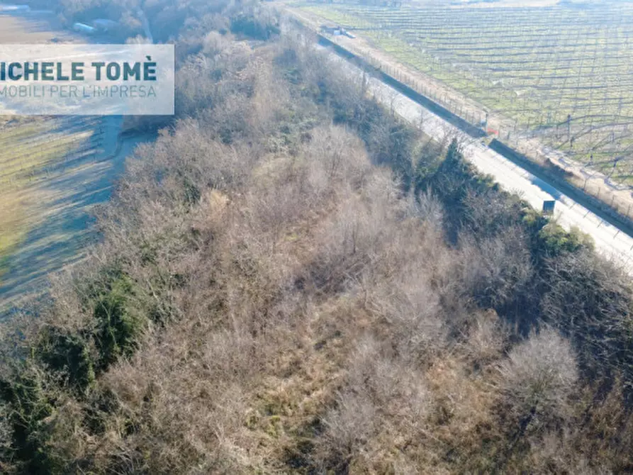 Immagine 10 di Terreno in vendita  in Via Verona a Bussolengo