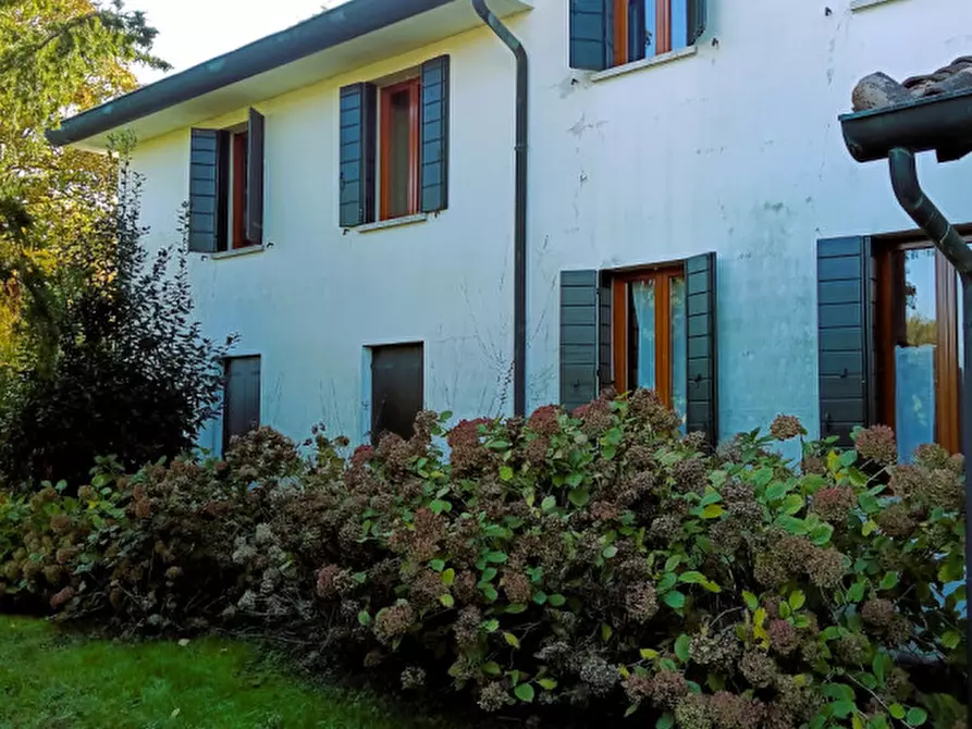 Immagine 3 di Villa in vendita  a Camponogara