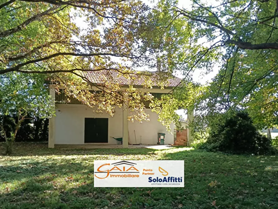 Immagine 36 di Villa in vendita  a Camponogara