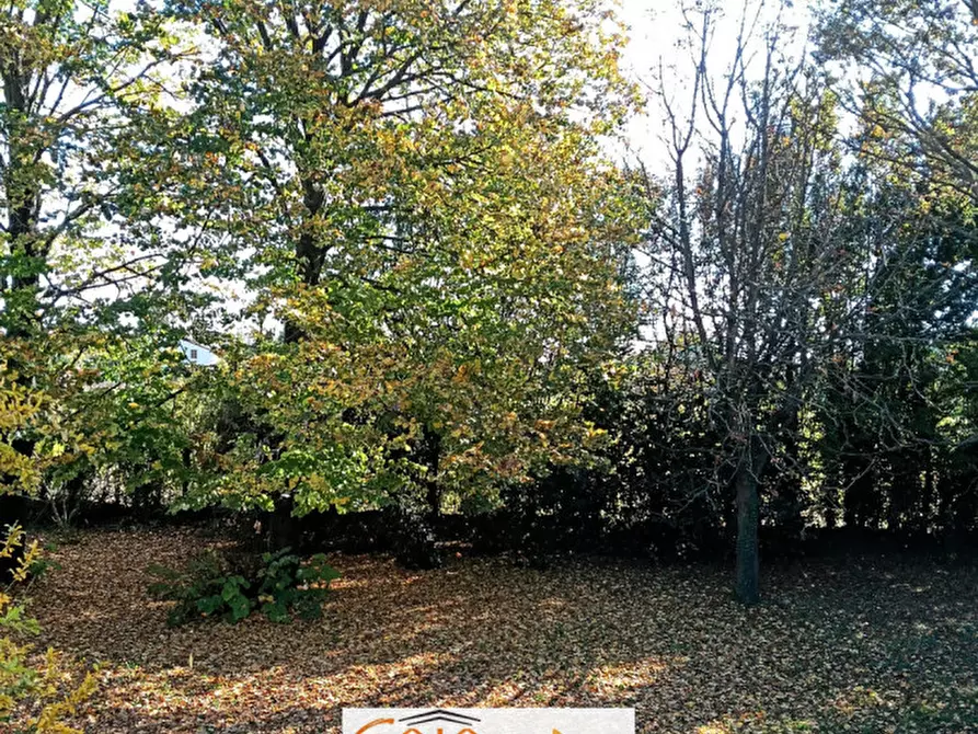 Immagine 37 di Villa in vendita  a Camponogara