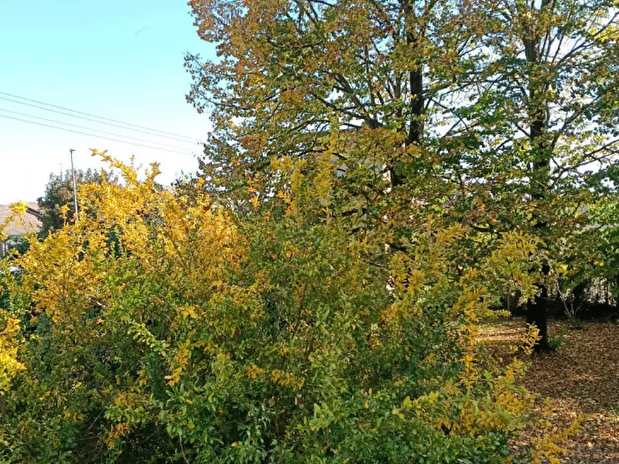 Immagine 39 di Villa in vendita  a Camponogara