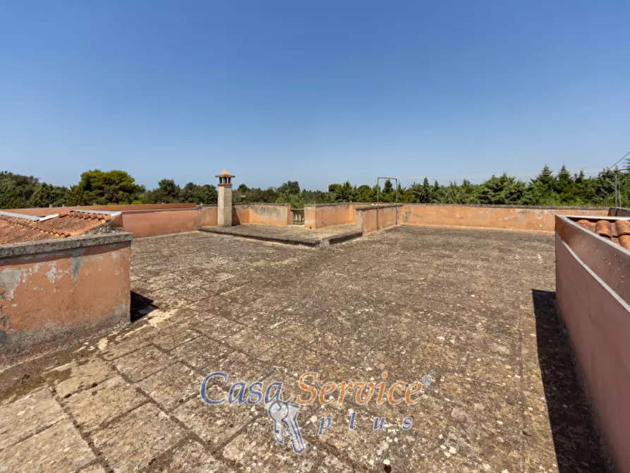 Immagine 59 di Villa in vendita  in Strada Comunale Tuglie a Neviano