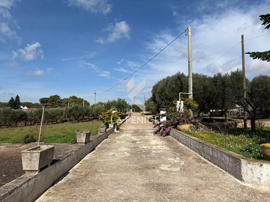 Immagine 6 di Villa in vendita  in strada Pilozzo a Martina Franca