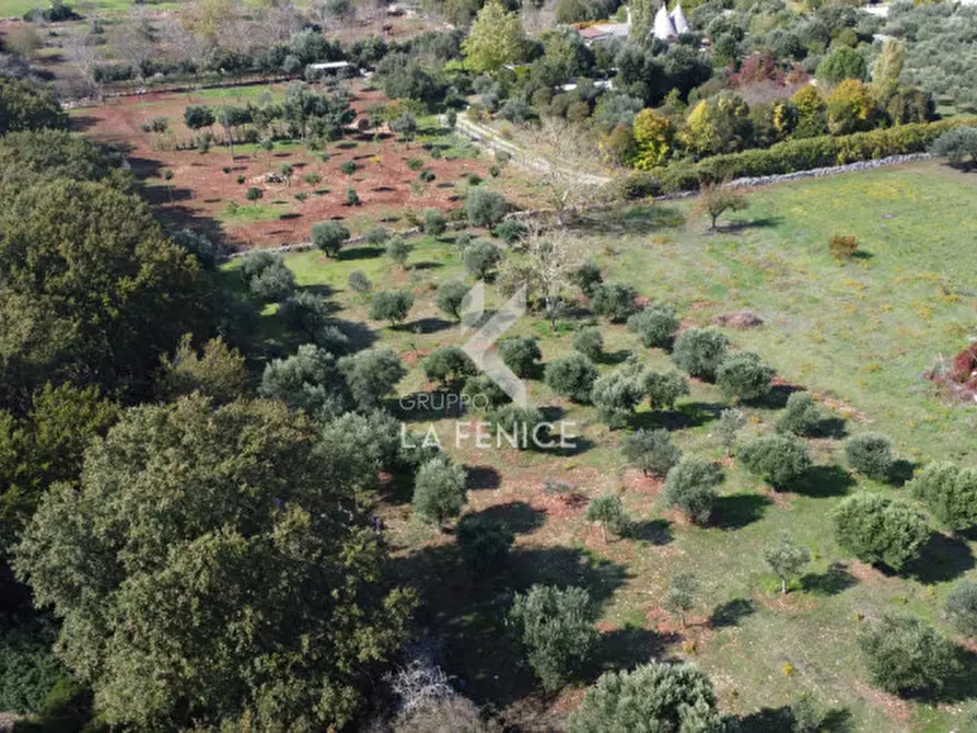 Immagine 31 di Villa in vendita  in strada Pilozzo a Martina Franca