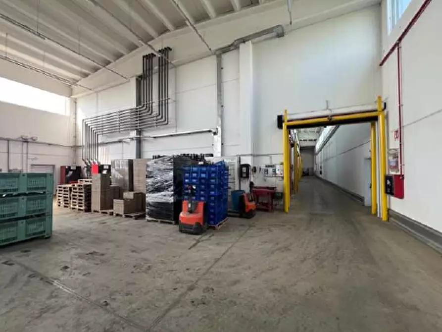 Immagine 7 di Capannone industriale in vendita  in Via Afra Decò 22 a Villafranca Di Verona