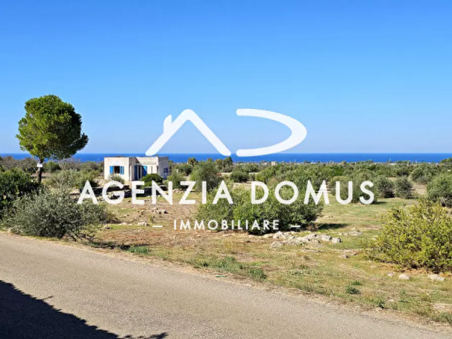 Immagine 2 di Casa indipendente in vendita  a Racale