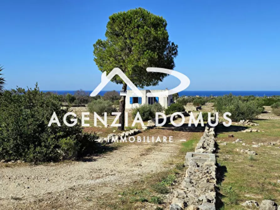 Immagine 3 di Casa indipendente in vendita  a Racale