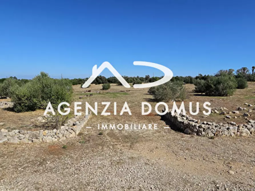 Immagine 12 di Casa indipendente in vendita  a Racale