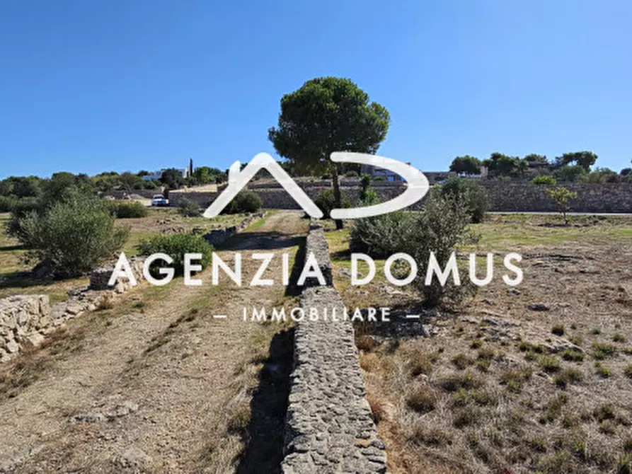 Immagine 14 di Casa indipendente in vendita  a Racale