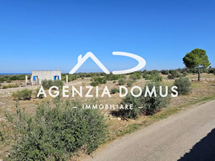 Immagine 15 di Casa indipendente in vendita  a Racale