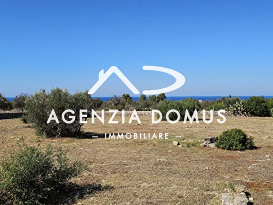 Immagine 29 di Casa indipendente in vendita  a Racale