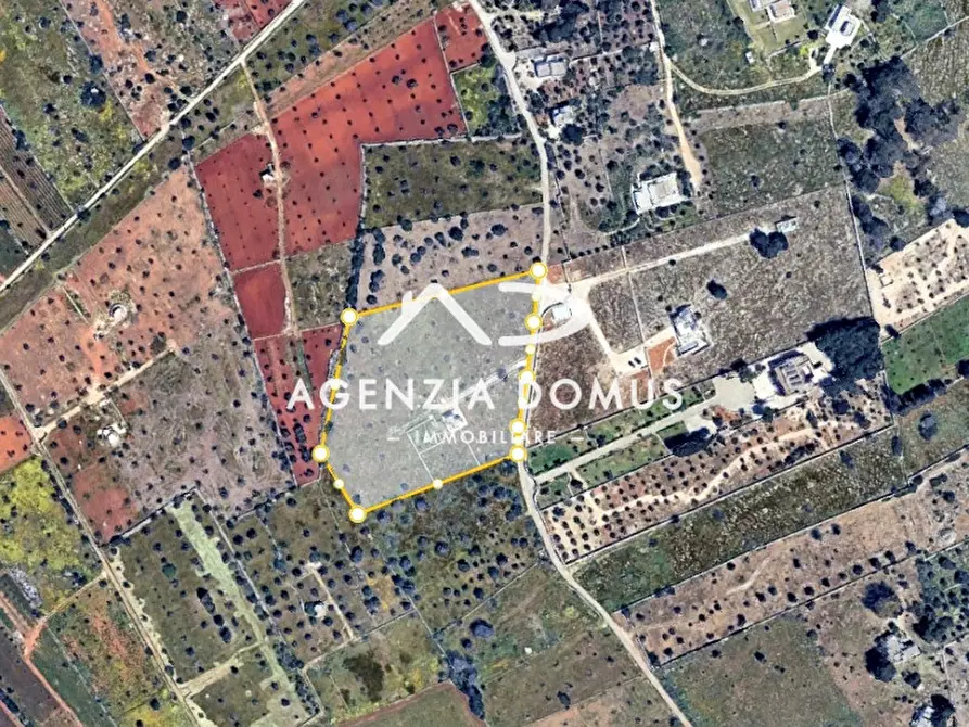 Immagine 34 di Casa indipendente in vendita  a Racale