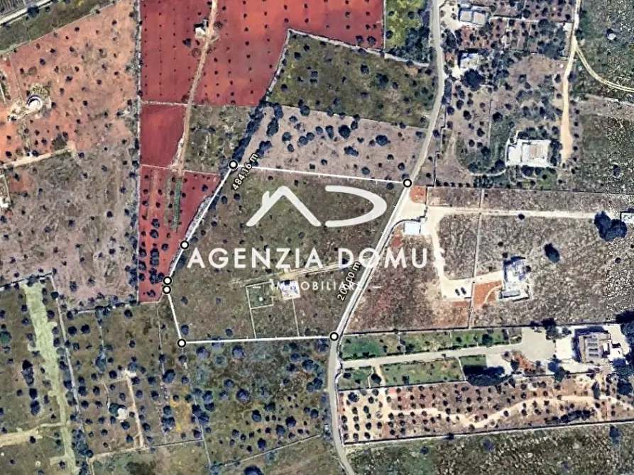 Immagine 35 di Casa indipendente in vendita  a Racale