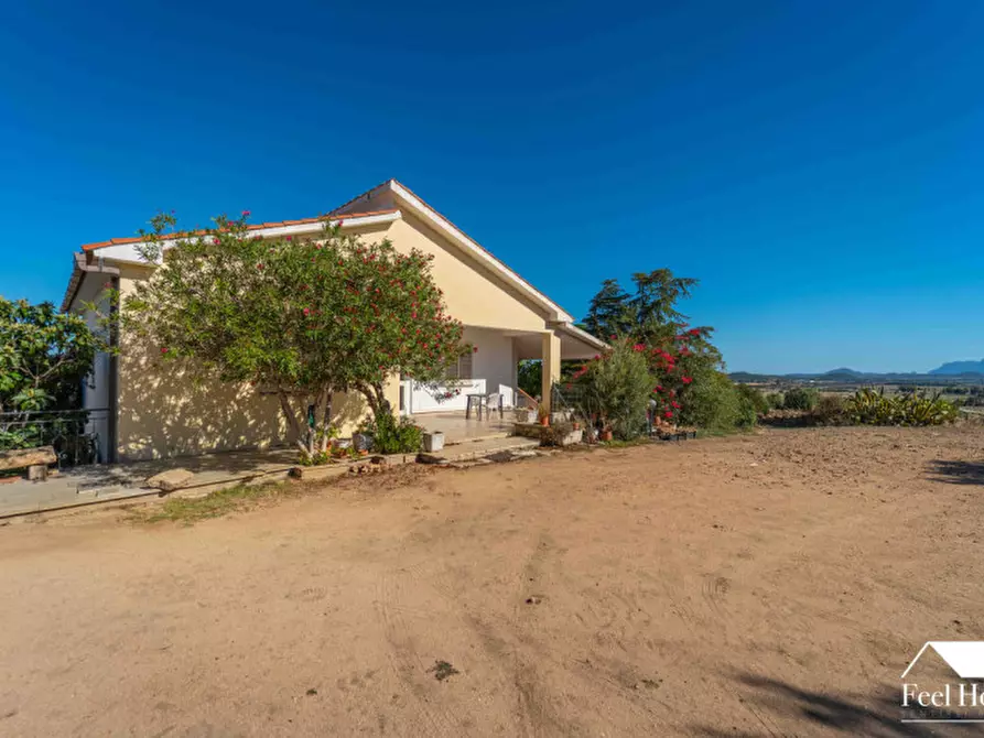 Immagine 2 di Villa in vendita  a Olbia