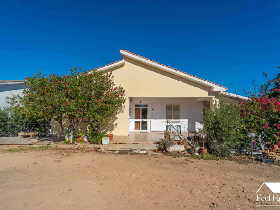 Immagine 3 di Villa in vendita  a Olbia