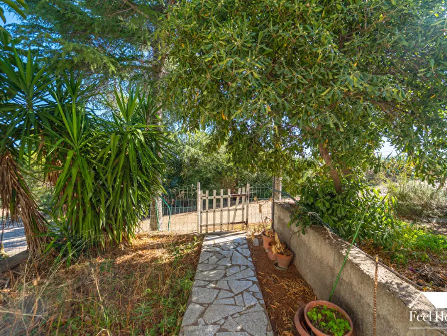 Immagine 4 di Villa in vendita  a Olbia