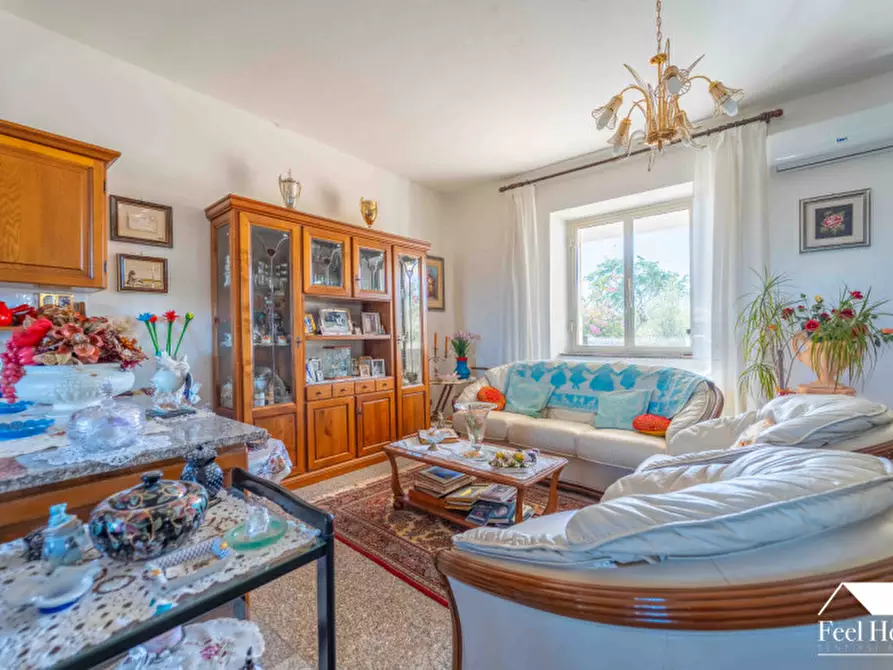 Immagine 7 di Villa in vendita  a Olbia