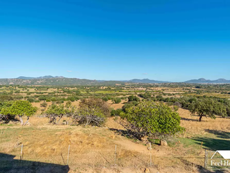 Immagine 20 di Villa in vendita  a Olbia