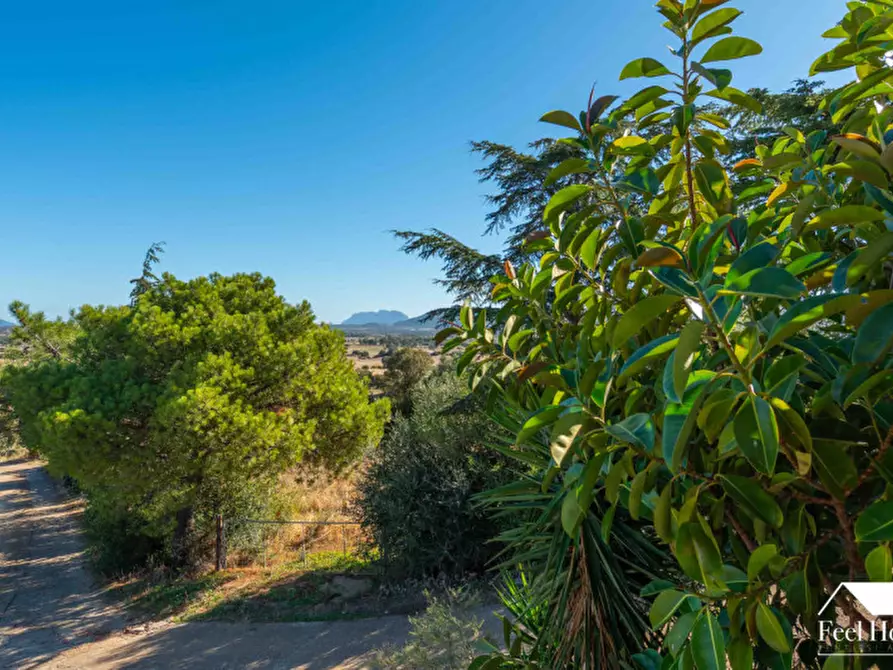 Immagine 21 di Villa in vendita  a Olbia