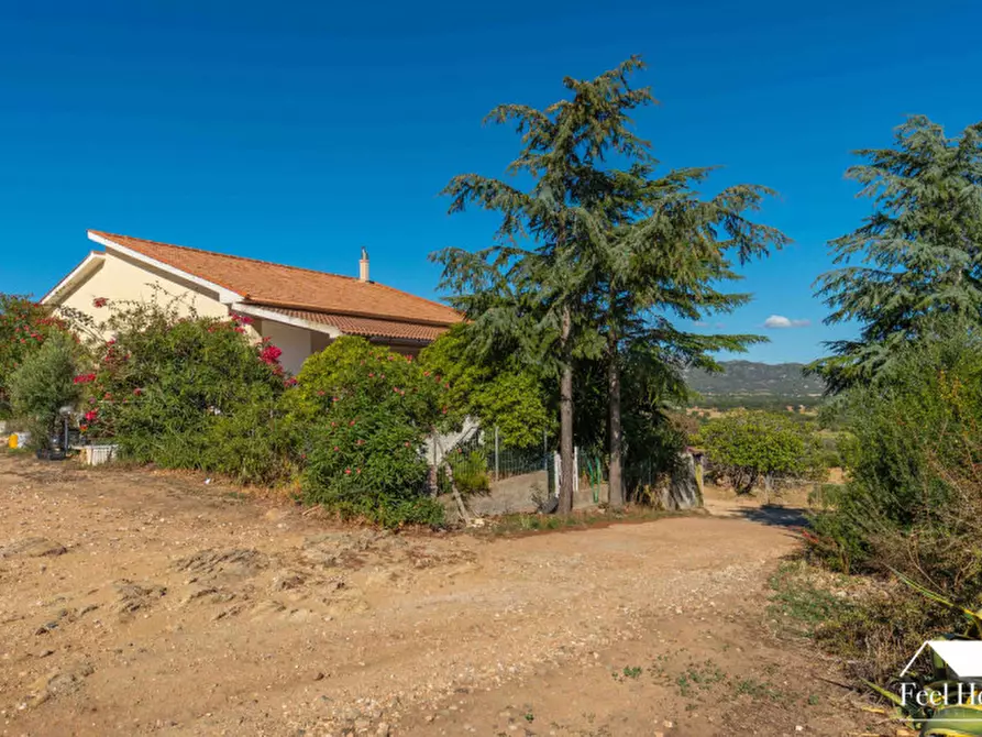 Immagine 25 di Villa in vendita  a Olbia