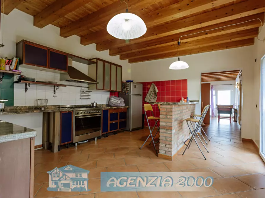 Immagine 3 di Appartamento in vendita  in Via Olmo a Tribano