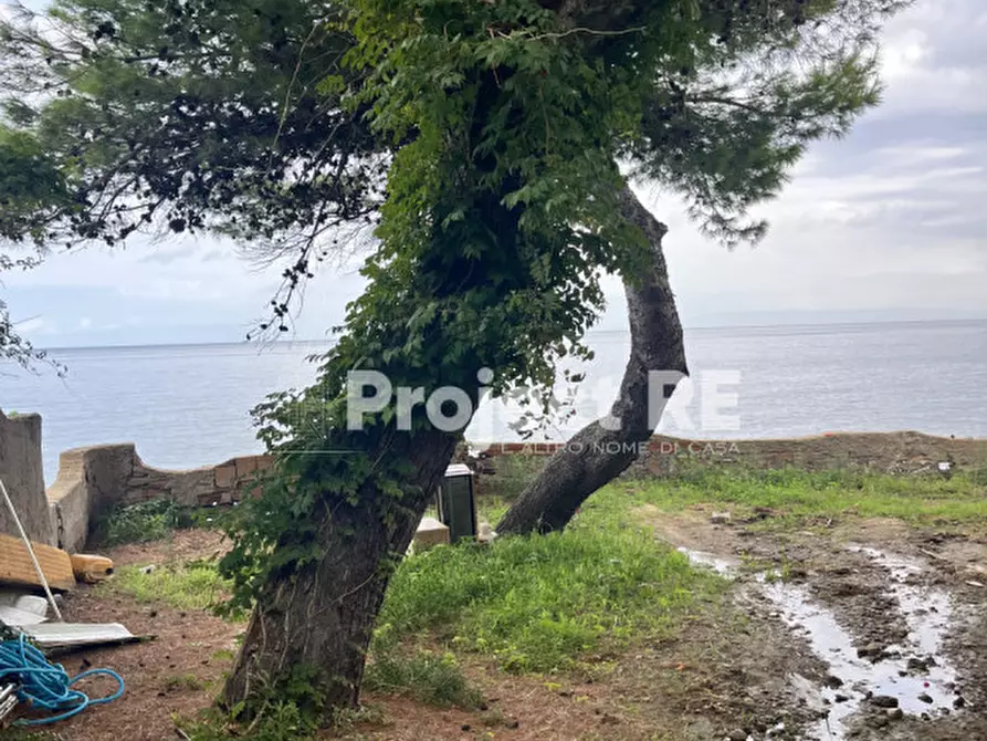 Immagine 3 di Casa indipendente in vendita  a Scilla