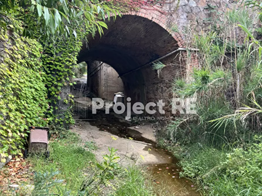 Immagine 7 di Casa indipendente in vendita  a Scilla