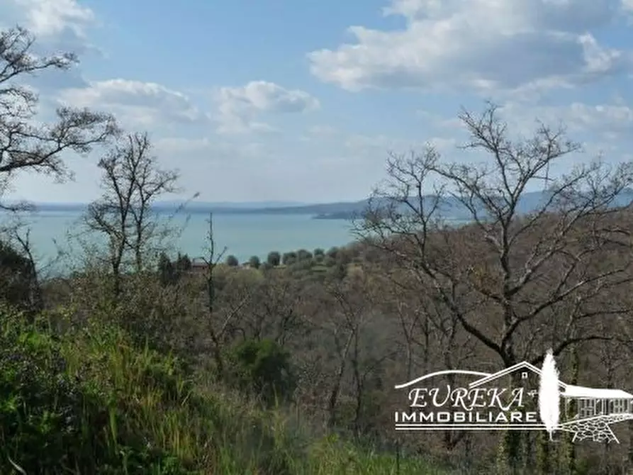 Immagine 11 di Villa in vendita  in Strada della Santocchia a Magione