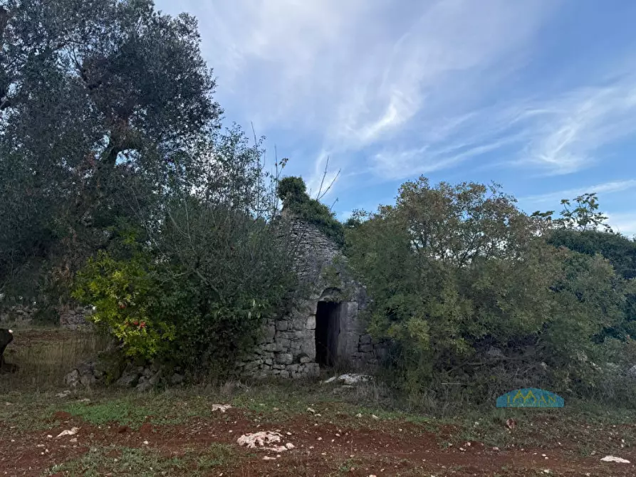 Immagine 1 di Rustico / casale in vendita  in Contrada Fedele Grande a Ceglie Messapico