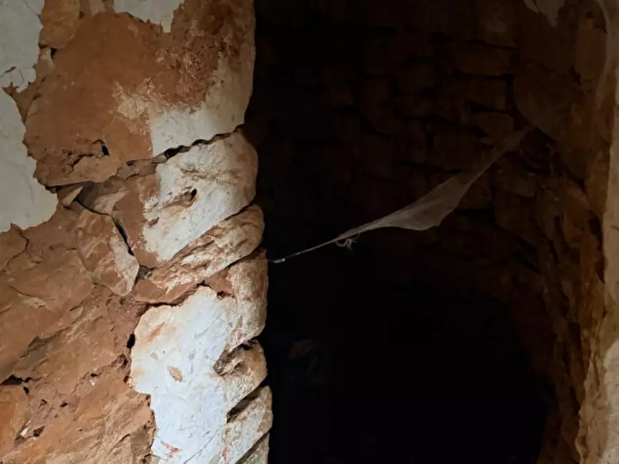 Immagine 4 di Rustico / casale in vendita  in Contrada Fedele Grande a Ceglie Messapico