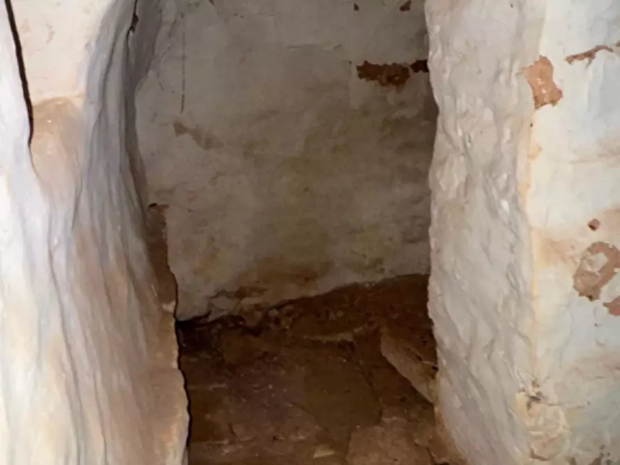 Immagine 6 di Rustico / casale in vendita  in Contrada Fedele Grande a Ceglie Messapico