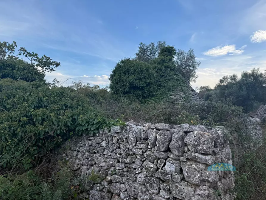 Immagine 7 di Rustico / casale in vendita  in Contrada Fedele Grande a Ceglie Messapico