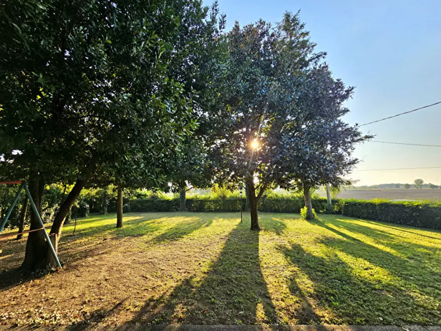 Immagine 5 di Appartamento in vendita  in via arzarini a Villa Estense