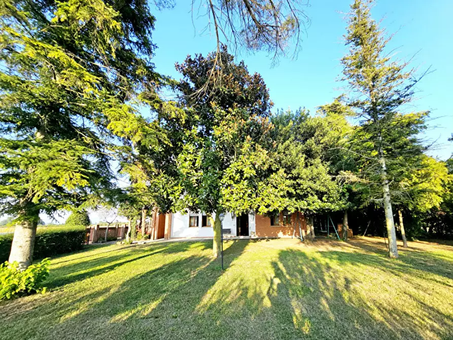 Immagine 8 di Appartamento in vendita  in via arzarini a Villa Estense