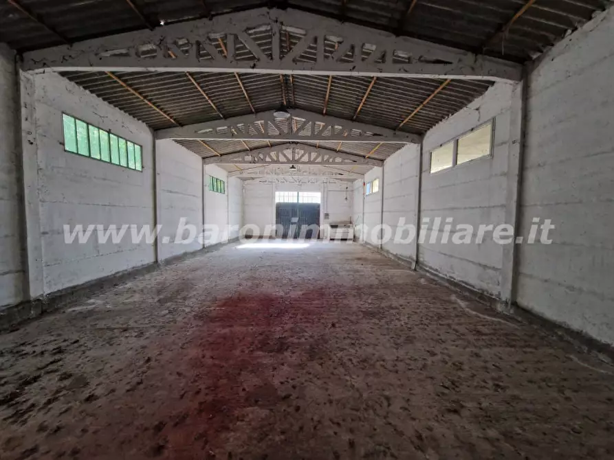 Immagine 8 di Terreno in vendita  in Via Bologna, 165 a San Giovanni In Persiceto