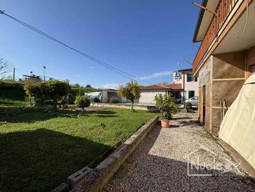 Immagine 4 di Casa indipendente in vendita  a Pernumia
