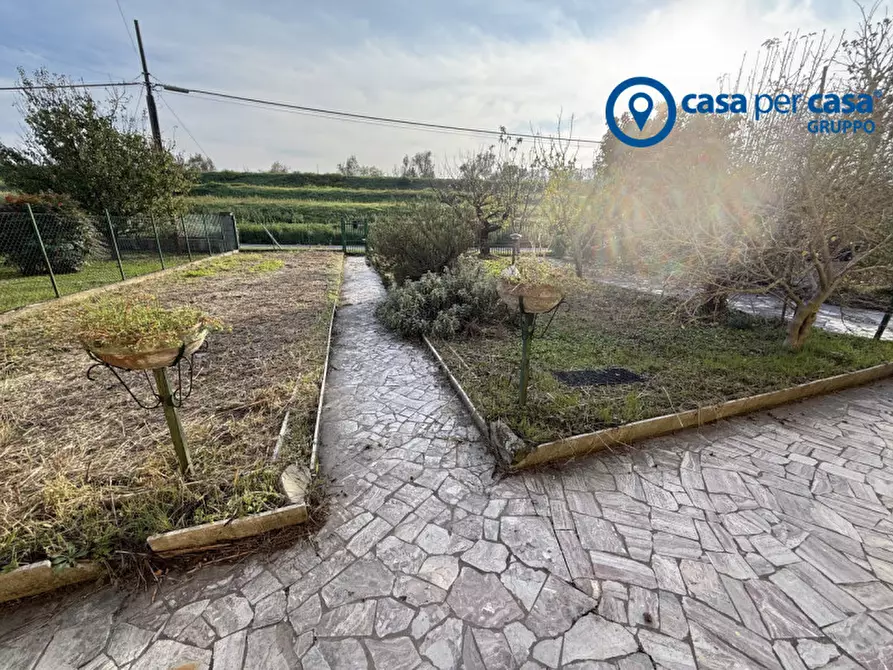 Immagine 3 di Casa indipendente in vendita  in Papozze, Via Caderuschi a Papozze