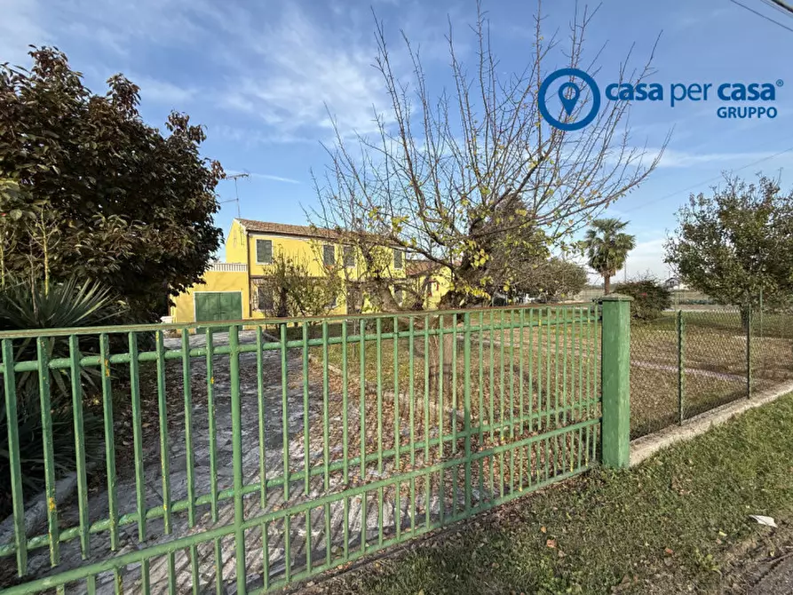 Immagine 5 di Casa indipendente in vendita  in Papozze, Via Caderuschi a Papozze