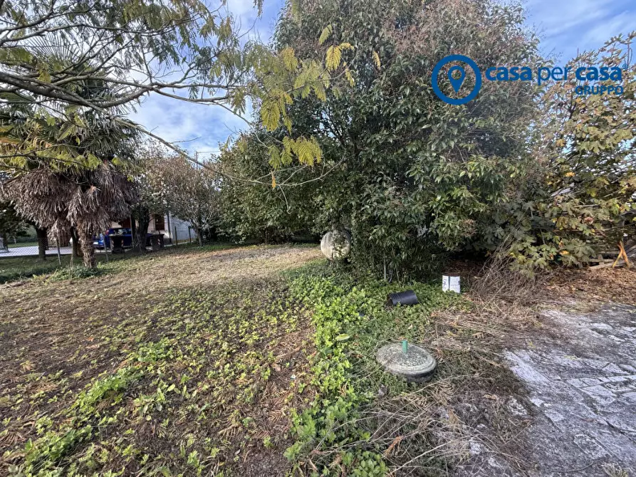 Immagine 28 di Casa indipendente in vendita  in Papozze, Via Caderuschi a Papozze