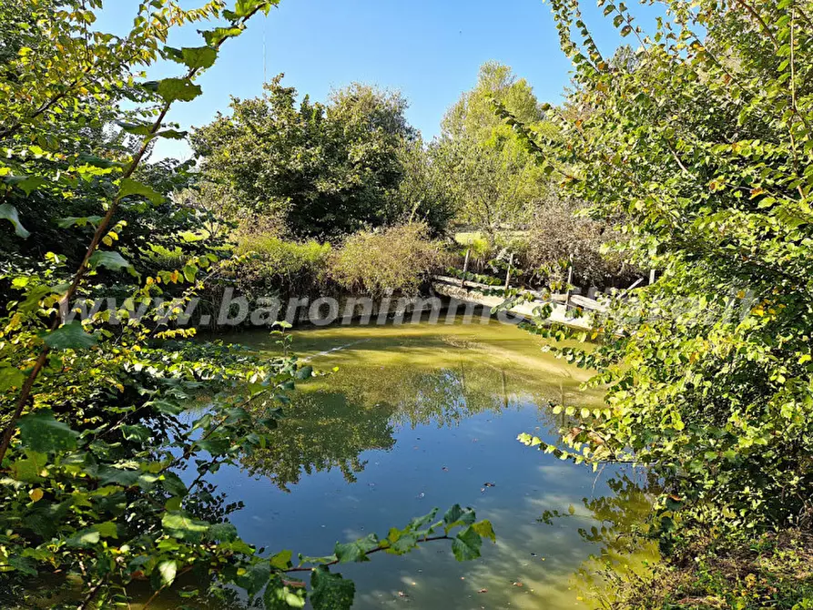 Immagine 6 di Casa bifamiliare in vendita  in Via Amedeo Zanini a Anzola Dell'emilia