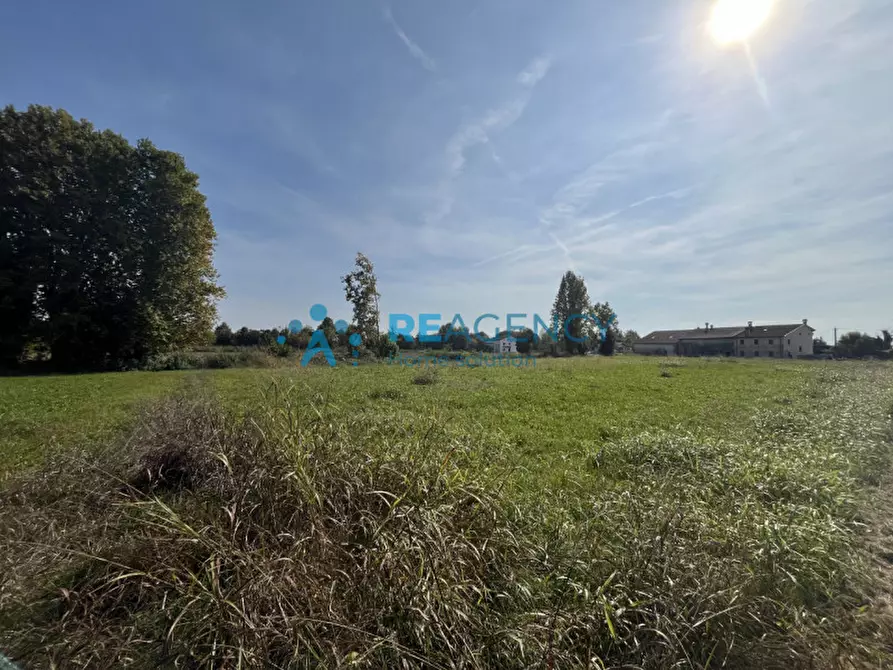 Immagine 1 di Terreno in vendita  in Via Albereria a Bressanvido