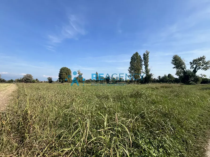 Immagine 2 di Terreno in vendita  in Via Albereria a Bressanvido