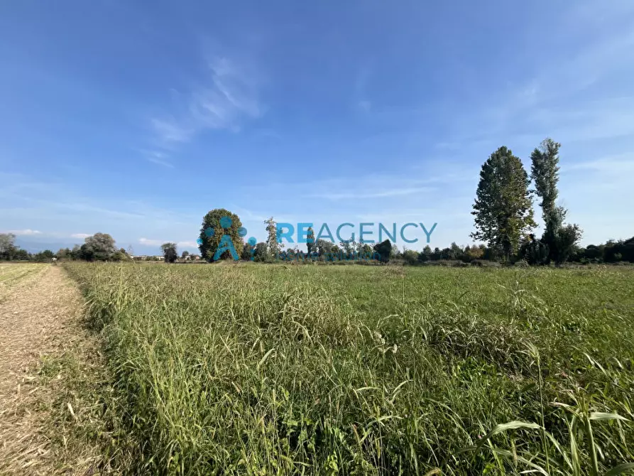 Immagine 2 di Terreno in vendita  in Via Albereria a Bressanvido