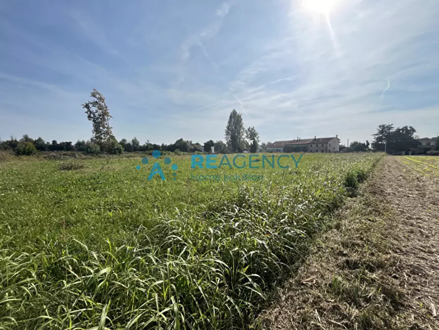 Immagine 3 di Terreno in vendita  in Via Albereria a Bressanvido