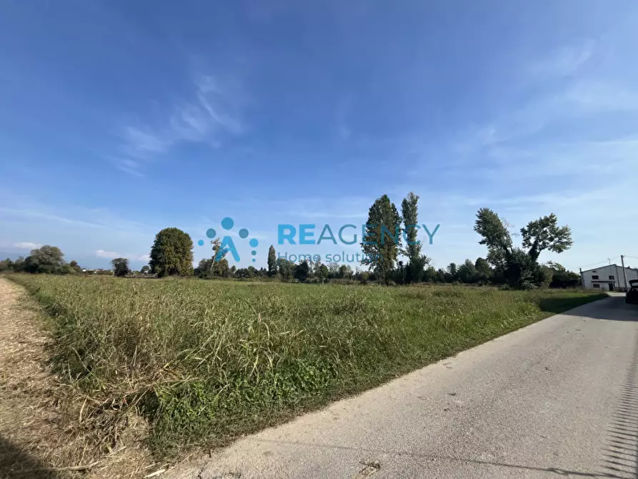 Immagine 4 di Terreno in vendita  in Via Albereria a Bressanvido